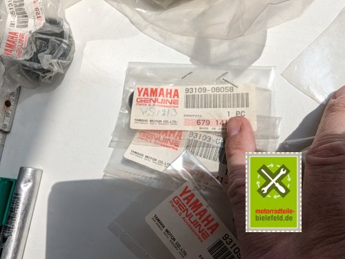 PXL_20240523_103245132